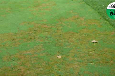 3 golf-course threats that keep superintendents up at night