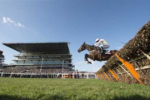 Cheltenham Festival: What bookmakers are non-runner no bet on every race? 🧐