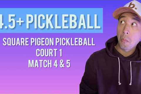 4.5+ Pickleball - Square Pigeon Dreamland Court 1 / Match 1 & 2