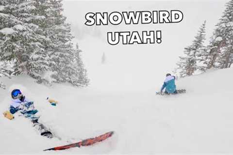 Is Snowbird The BEST POWDER RESORT in UTAH?!