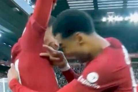 Darwin Nunez urges to Gakpo to sniff his armpit in bizarre celebration against Man Utd