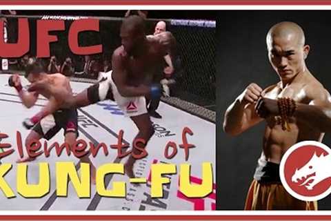 Kung Fu in UFC (MUST WATCH!)