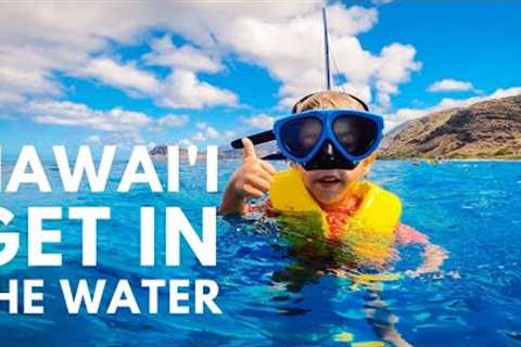 The Oahu Snorkel Tour You Shouldn’t Miss | turtles, dolphins, and everyone can go