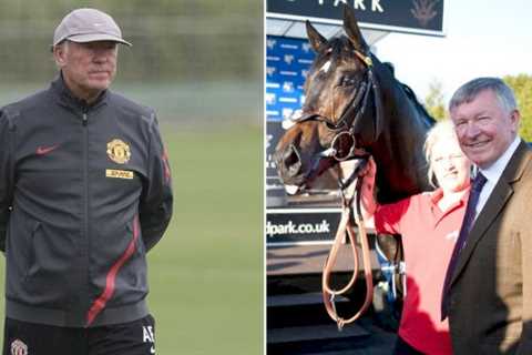 ‘Sir Alex Ferguson constantly checked his phone at training – we knew it was Cheltenham’