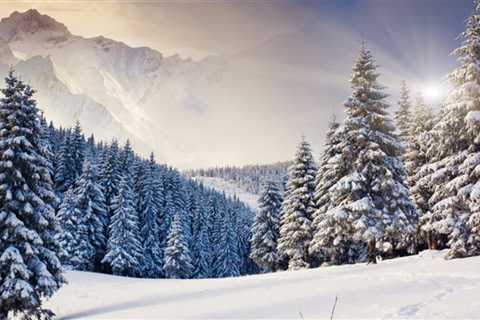 Winter Resorts With Ski and Snowboard Rentals