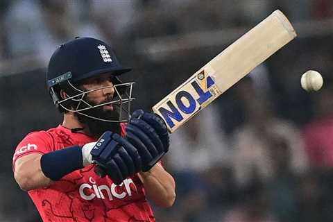 Steve Harmison predicts full international retirement for Moeen Ali after World Cup but questions..