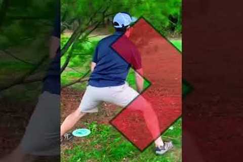 The Rule Most Disc Golfers Break Without Realizing it!