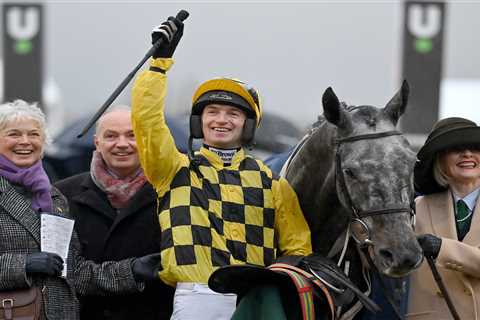 Bookies forced to slash odds on Willie Mullins runner in Grand National