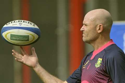 Nienaber to quit Springboks for Leinster after World Cup