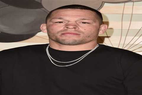 Cops issue arrest warrant for Nate Diaz after UFC icon seen brawling in street with Logan Paul..