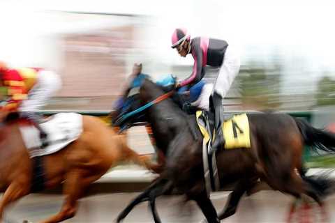 Experience the Thrill of Pleasanton CA Horse Racing Competitions