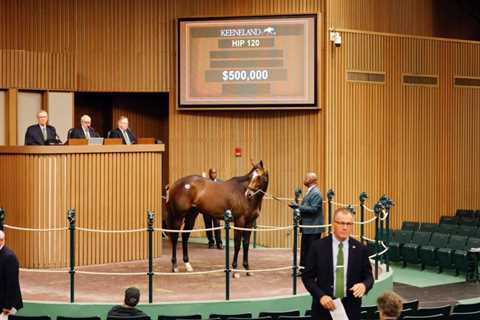 Commissioner Dan Tops Keeneland April Sale At $500,000 – Horse Racing News