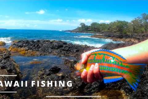 The Most Beautiful Fish I Ever Caught | Aquarium Species | Maui Fishing