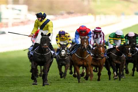 Willie Mullins suffers double tragedy as two horses belonging to same owner sadly die just days..