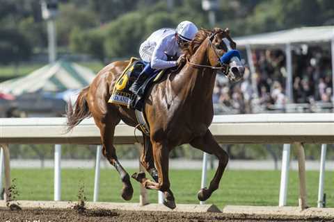 Judge: CHRB Needs To Provide Legal Basis For Justify Decision – Horse Racing News