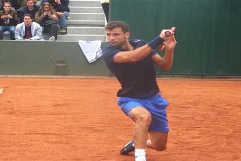 French Open tennis pick and prediction: Dimitrov vs. Altmaier