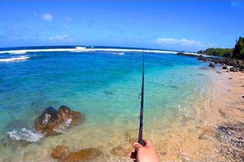 Fishing, Surfing and Exploring Hawaii!