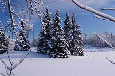 Winter Train Rides