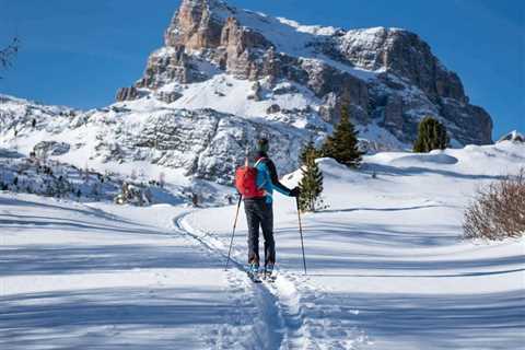 Skiing and Ski Touring Equipment Rental