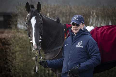 ‘He would be the one’ – Aidan O’Brien tips 16-1 star for Triple Crown glory 👑