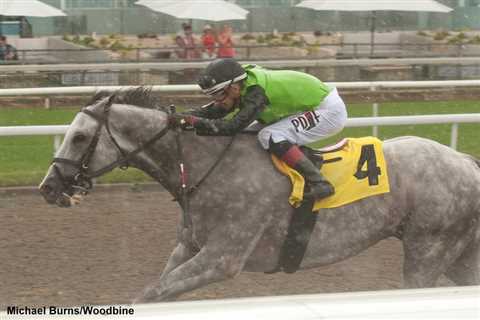 Long-Striding Tyson Tops Carroll-Trained Exacta In Woodbine’s Dominion Day – Horse Racing News