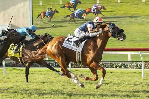 Superfecta Phil: Gold Phoenix Leads 1-2-3-4 D’Amato Sweep In Eddie Read – Horse Racing News