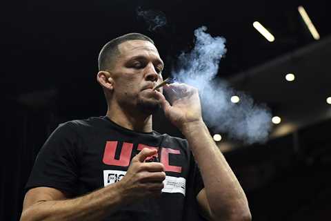 A street-fighting ‘punk’ like Nate Diaz gets no respect because he’s ‘always high’ and ‘beats up..