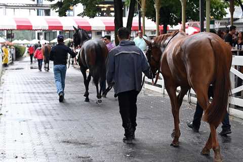 Hall Of Fame, Three Other Saratoga Races Cancelled Friday After Severe Storm – Horse Racing News