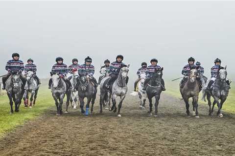 Saturday at Newmarket: The Grey Horse Handicap Takes Center Stage