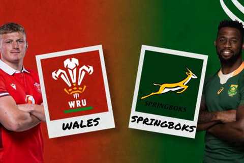 Wales v South Africa: Anxious wait for World Cup hopefuls as Springboks test looms