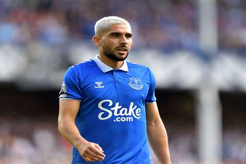 Brentford Set to Sign Neal Maupay on Loan from Everton