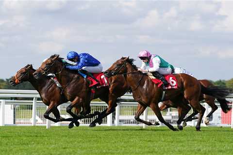 Exciting two-year-old Aablan eases the pressure on top trainer Charlie Appleby in the Solario Stakes