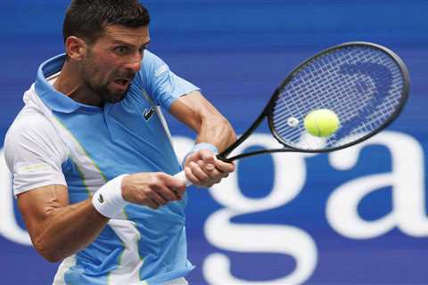 Novak Djokovic loses his cool with his own fan during US Open quarter-final