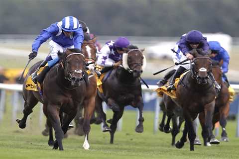 Haydock Saturday Placepot: £150,000 up for grabs with Tote's mega cash offer