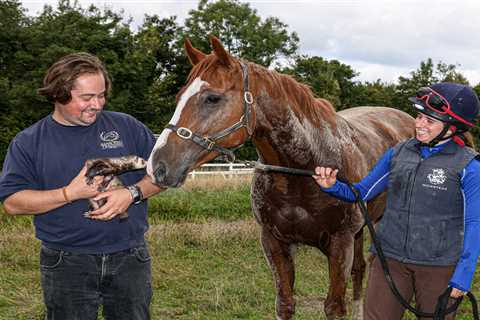 Adam West Makes Bold Decision with Star Sprinter Live In The Dream Ahead of Breeders' Cup