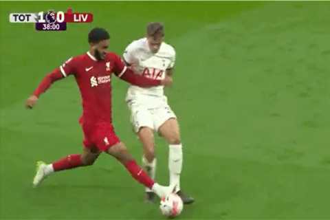 (Video) Near-replica of Van Dijk red v Newcastle goes unpunished v Spurs