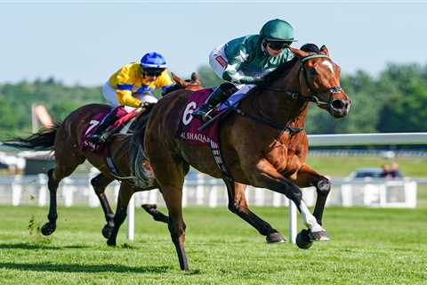 Star Filly Nashwa to Run at Ascot and Stay in Training