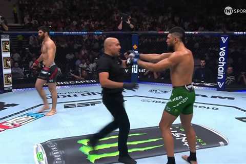 UFC Star Shoves Ref in Controversial Fight Stoppage