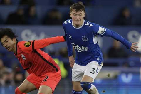 Everton vs Brighton – Match Preview | Toffees look to maintain upward momentum