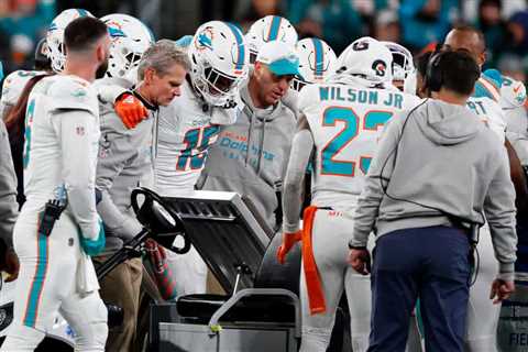 Dolphins Player Has 1-Word Description For MetLife Stadium Turf