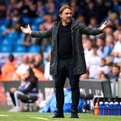 Daniel Farke reportedly stopped Leeds from signing English midfielder