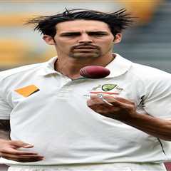What did Mitchell Johnson say about David Warner?