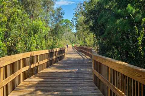 Exploring the Best Bike Trails with Wooden Bridges and Boardwalks in Palm Beach County, Florida