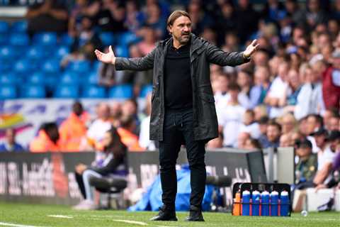 Daniel Farke reportedly stopped Leeds from signing English midfielder