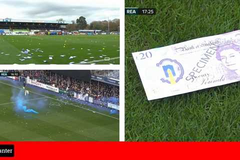 FA Cup tie at Eastleigh halted as Reading fans protest towards owner Dai Yongge