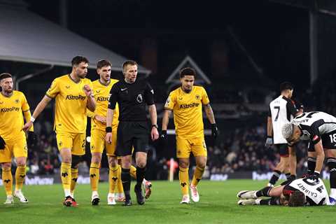 Fulham 3 Wolves 2