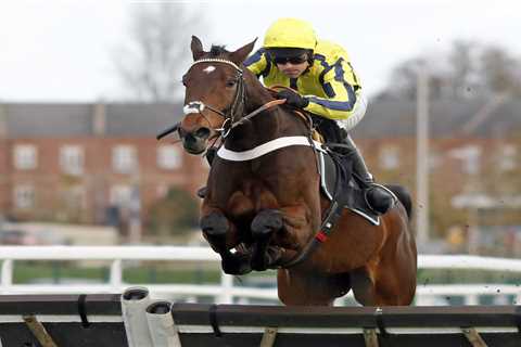 Nicky Henderson Picks Next Target for Top Novice Willmount but Slams Decision to Move Tolworth..