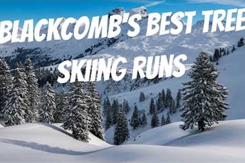 The Best Tree Skiing Runs on Blackcomb | Whistler Blackcomb Ski Guide