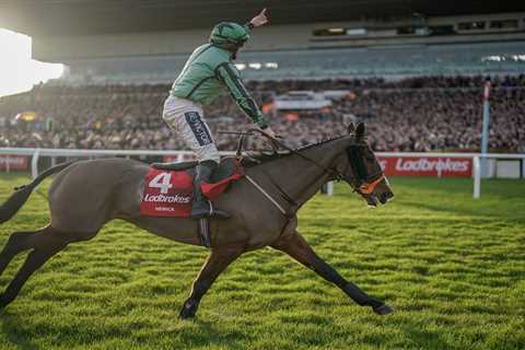 King George chaos as Shishkin unseats with race at his mercy and Guinness-drinking horse Hewick..