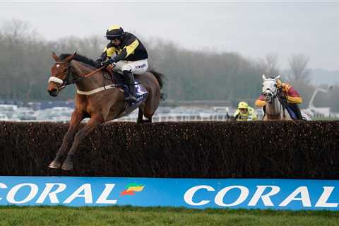 Templegate Reveals His Pick for the Welsh Grand National